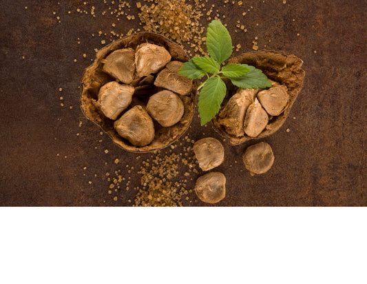 The Sweet Truth: Why We Choose Monk Fruit Over Stevia