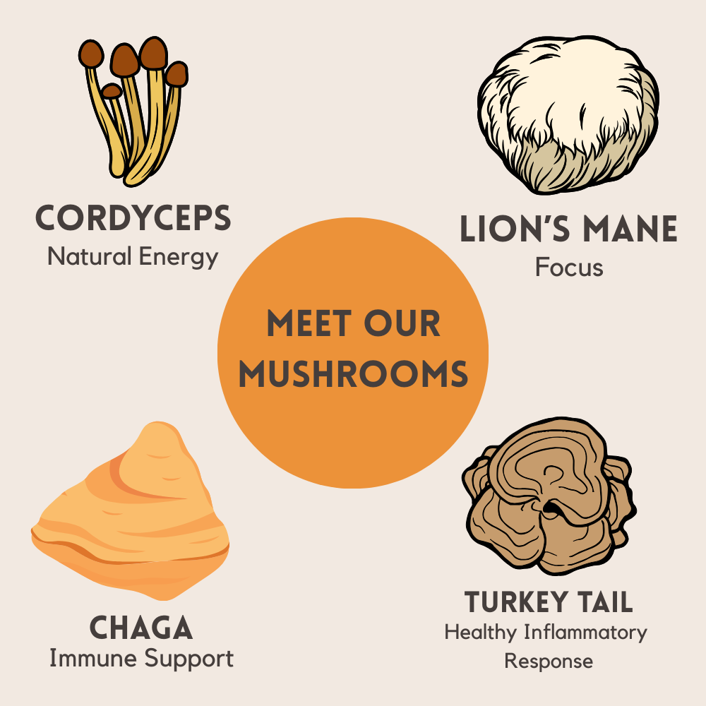 Organic Cacao + Morning Mushrooms