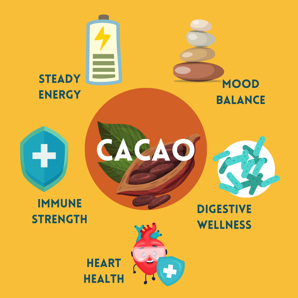 Organic Cacao + Morning Mushrooms